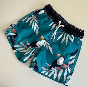 Gymboree Toddler Boys Swim Trunks Shorts Bottoms Toucan Print Size 18-24 Months